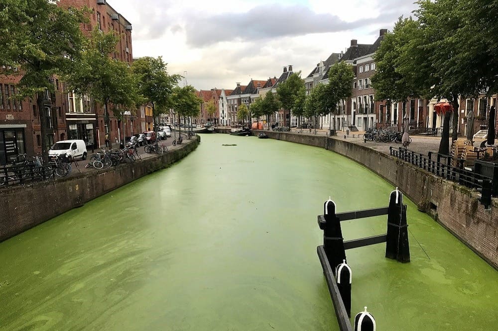 De gracht in de binnenstad van Groningen is groen, zag ik tijdens een ochtendwandeling op mijn eerste dag als ondernemer