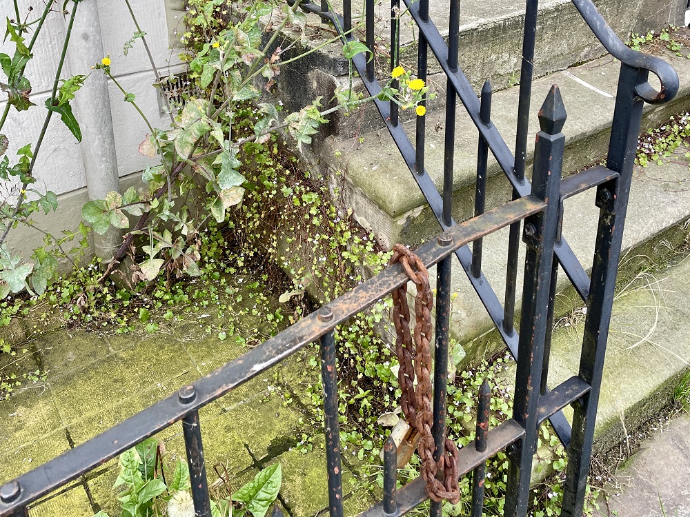Vervallen pracht: gele bloemen bij een oude stenen trap (met mos) en een gammel gietijzeren hekje